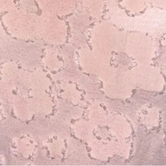 Michael Kors Top Pastel Pink Semi Sheer Textured Floral Cami/Tank Women’s XL EUC - Picture 7 of 16